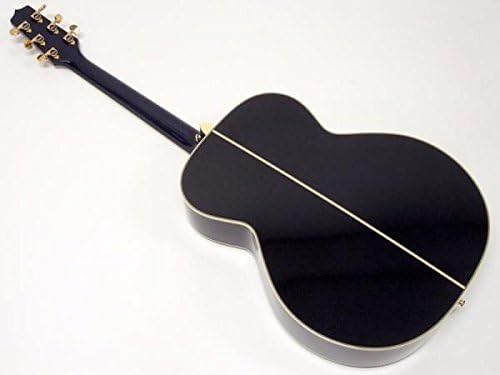 人気が高い Takamine エレアコ DMP541 DBS アコースティックギター